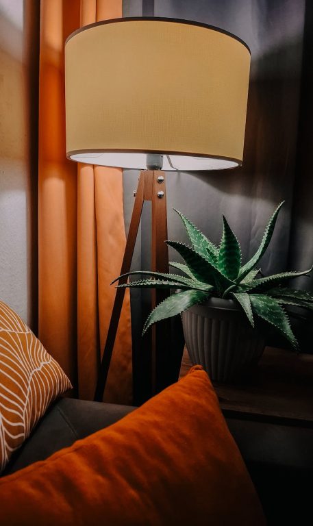 Tips for Creating a Cozy and Inviting Home Environment on a Budget